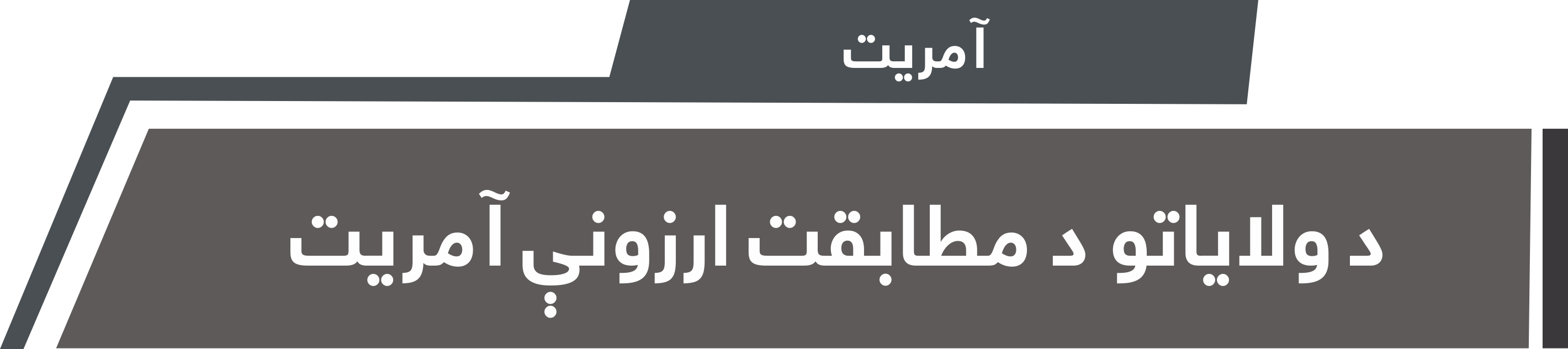 د ولایاتو د مطابقت ارزونې آمریت